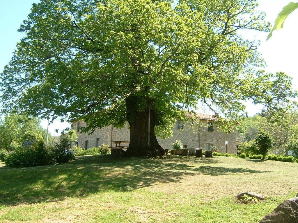 Antico Casale Pozzuolo Villa Seggiano Ngoại thất bức ảnh